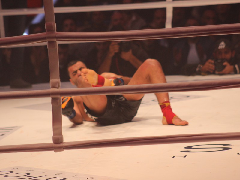 Phoenix Fighting Championship