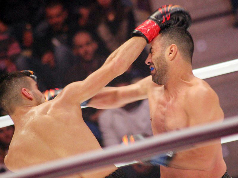 Phoenix Fighting Championship