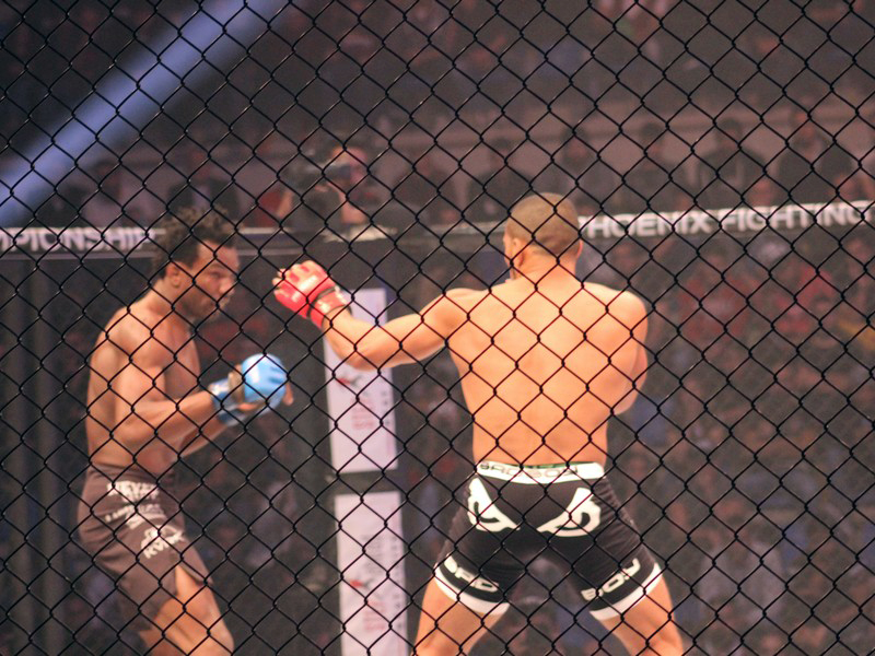 Phoenix Fighting Championship