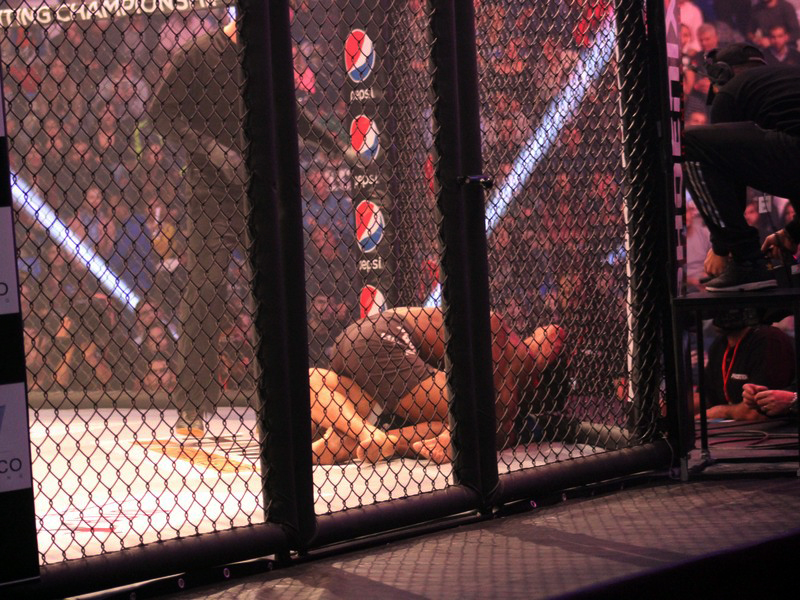Phoenix Fighting Championship