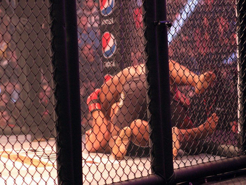Phoenix Fighting Championship