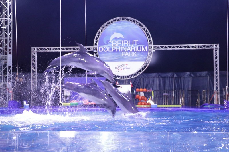 Official Opening of Beirut Dolphinarium
