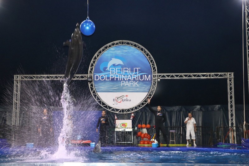 Official Opening of Beirut Dolphinarium