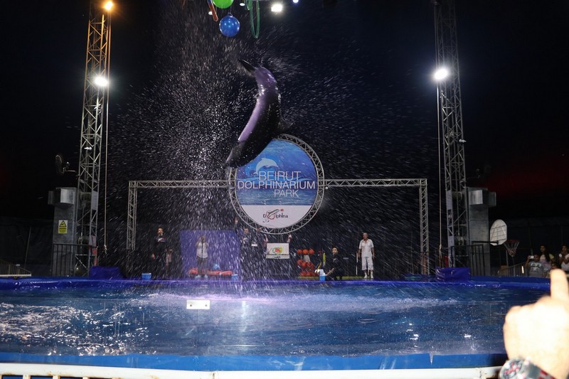 Official Opening of Beirut Dolphinarium