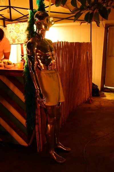 Jimmy's Birthday Carnaval