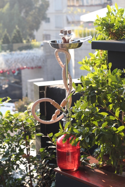 Kitchen Yard on Sunday