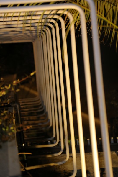 Kitchen Yard on Friday Night