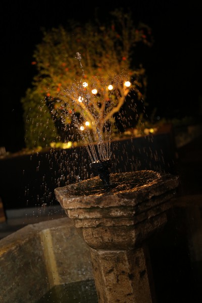 Kitchen Yard on Friday Night
