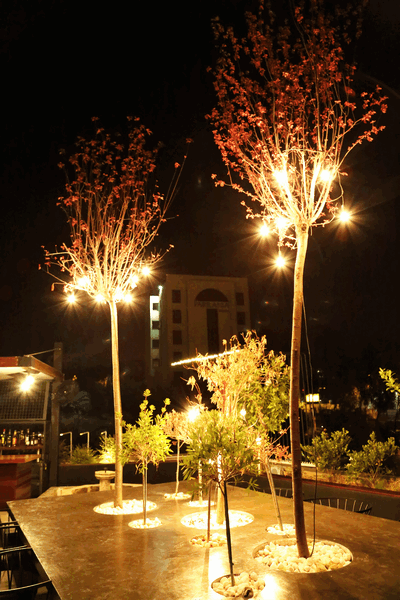 Kitchen Yard on Saturday Night