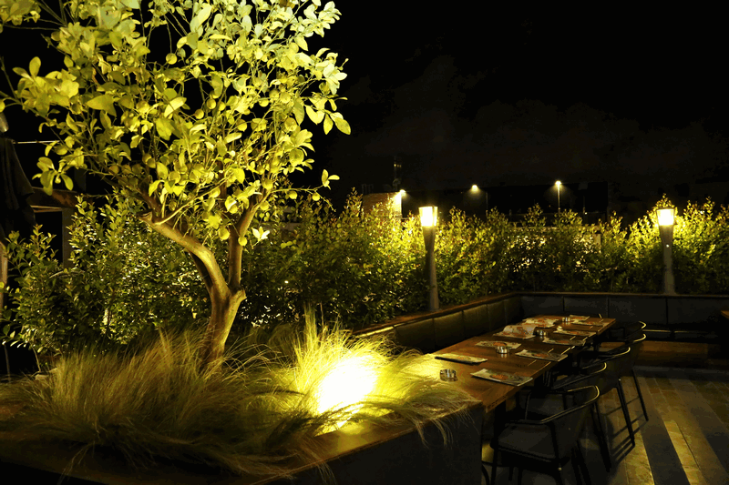 Kitchen Yard on Saturday Night