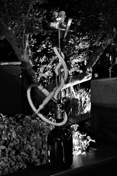 Kitchen Yard on Saturday Night