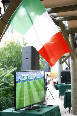 World Cup 2014 on LG Screens 