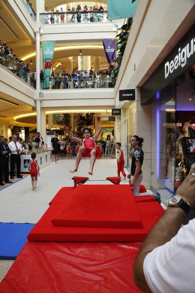 ABC Fitness Hub Launch