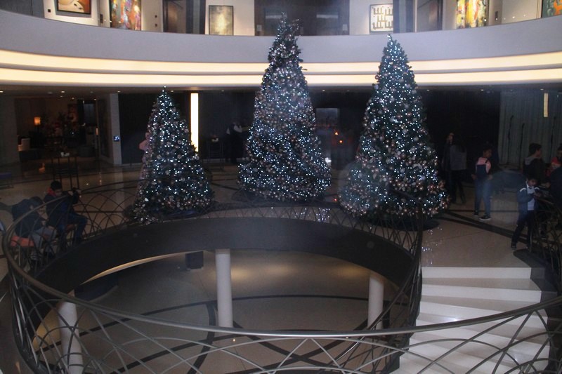 Lighting of Christmas Tree at Le Gray