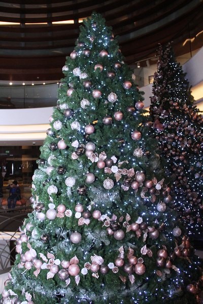 Lighting of Christmas Tree at Le Gray