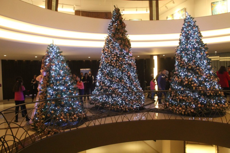 Lighting of Christmas Tree at Le Gray