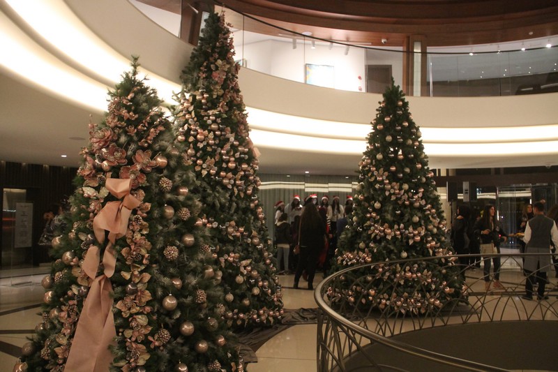 Lighting of Christmas Tree at Le Gray