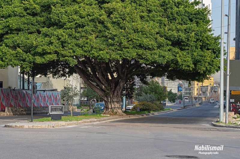 Coronavirus fears empty streets in Beirut