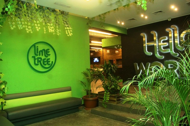 Lime Tree on Thursday Night