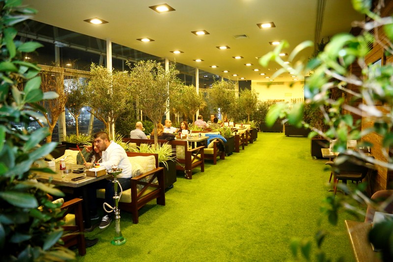Lime Tree on Saturday Night