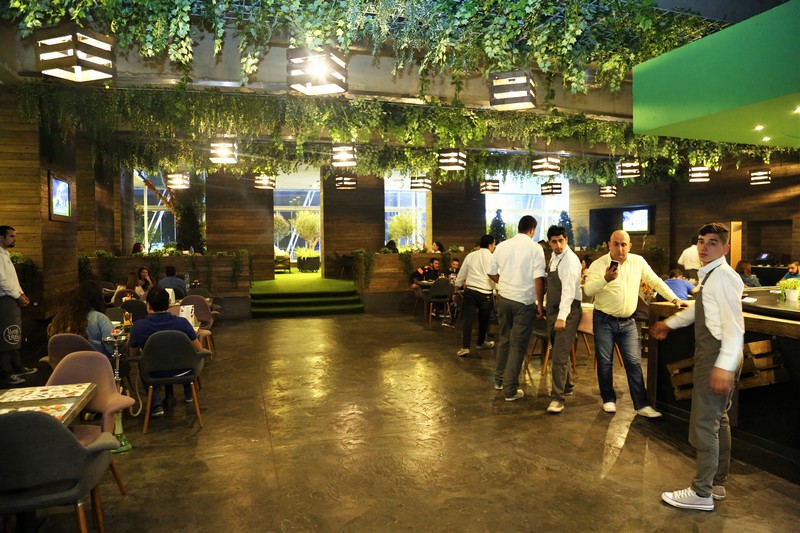 Lime Tree On Friday Night