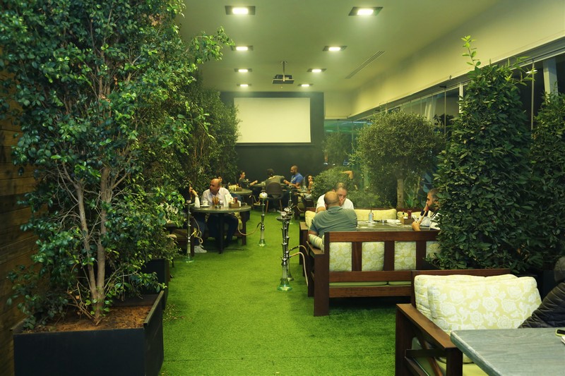 Lime Tree On Friday Night