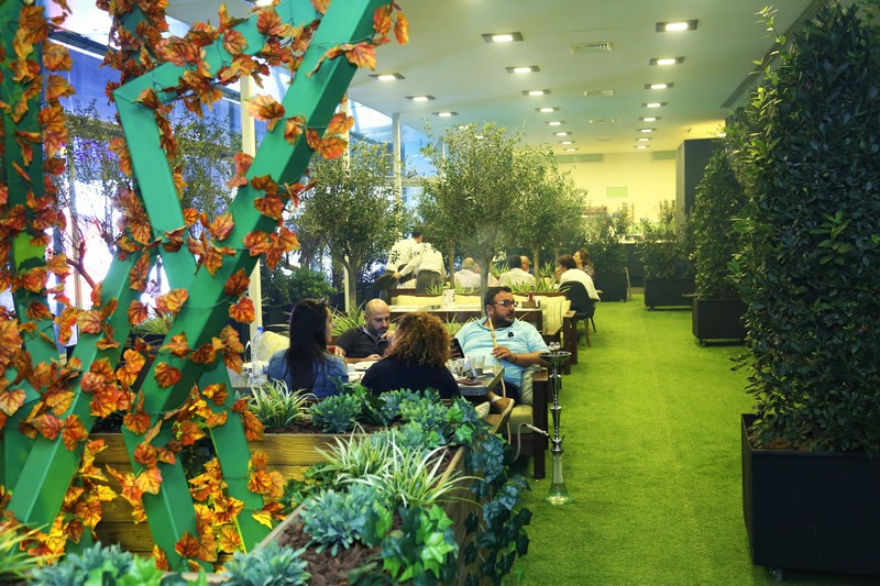 Lime Tree On Friday Night