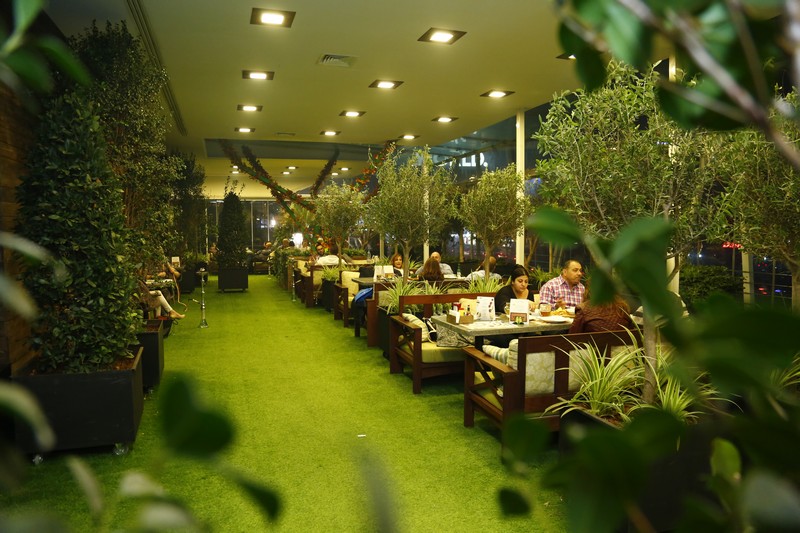 Lime Tree on Saturday Night