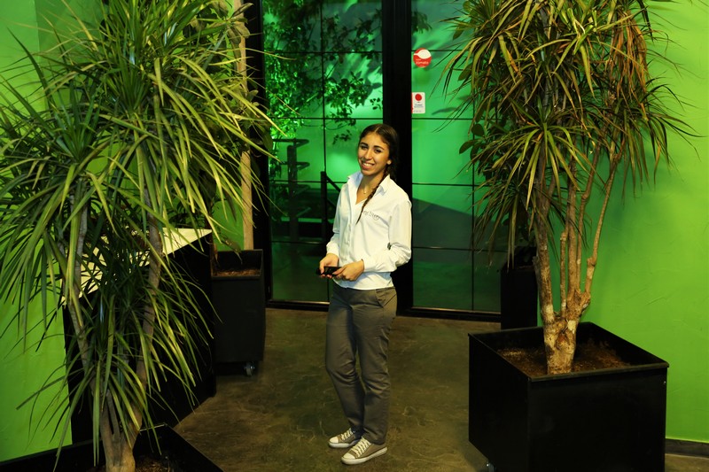 Lime Tree On Friday Night