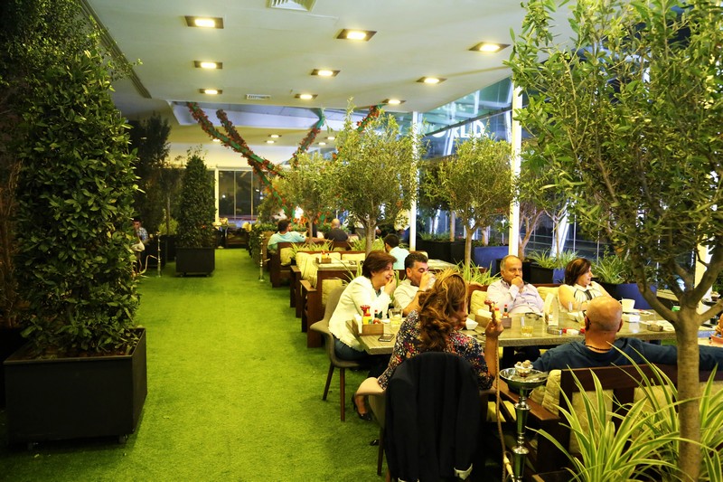 Lime Tree On Friday Night