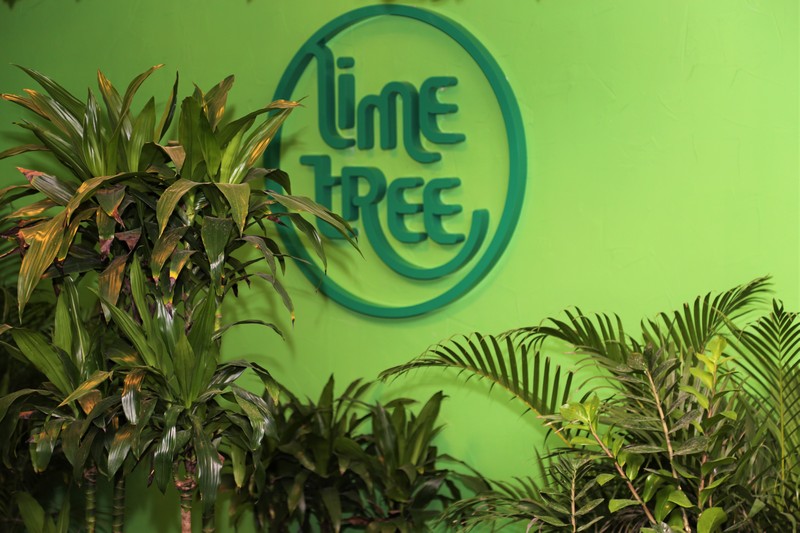 Lime Tree on Saturday Night