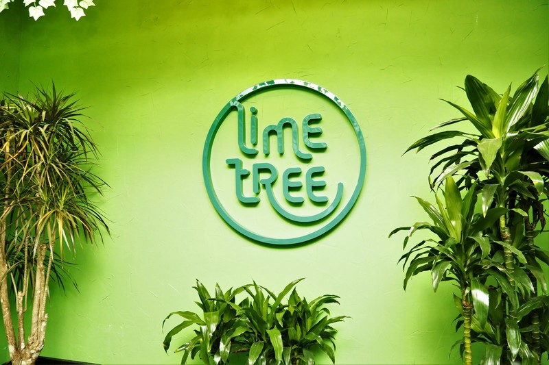 Lime Tree On Friday Night