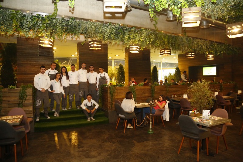 Lime Tree On Friday Night