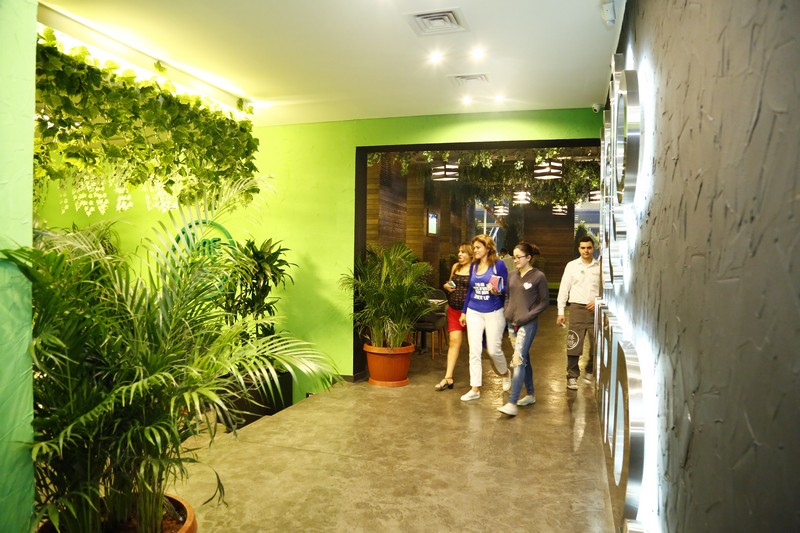 Lime Tree On Friday Night
