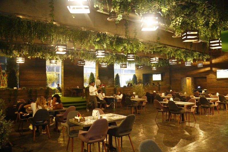 Lime Tree On Friday Night