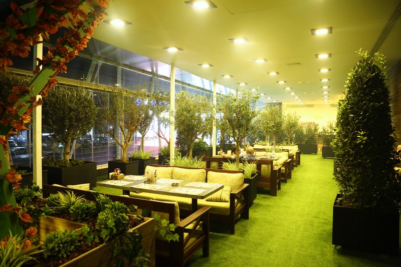 Lime Tree On Friday Night