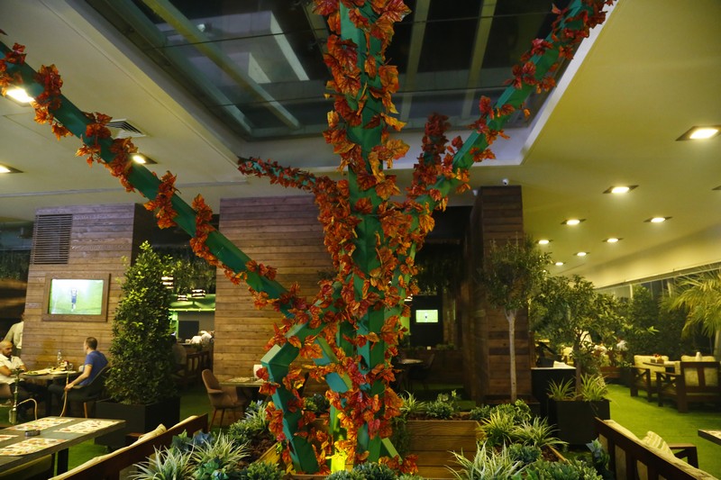 Lime Tree On Friday Night
