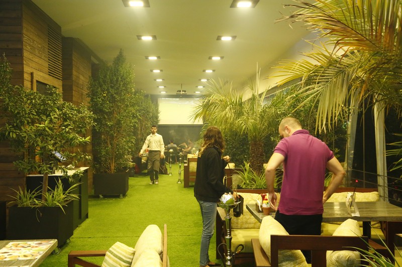 Lime Tree On Friday Night