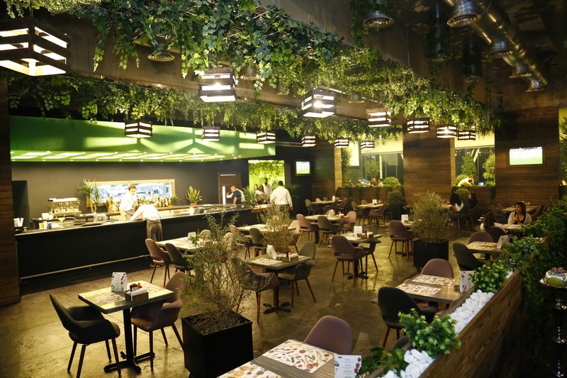 Lime Tree On Friday Night