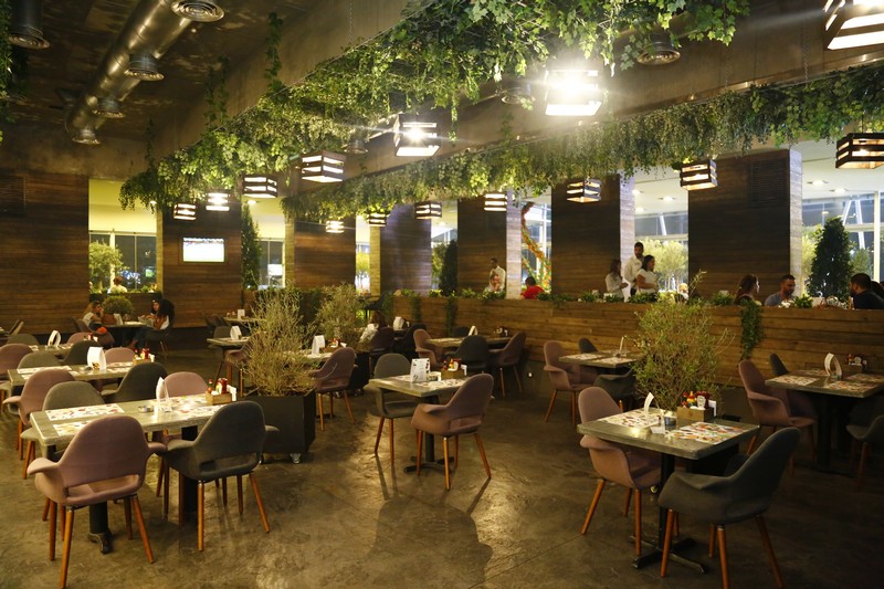 Lime Tree On Friday Night