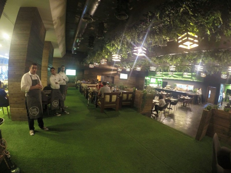 Lime Tree On Friday Night
