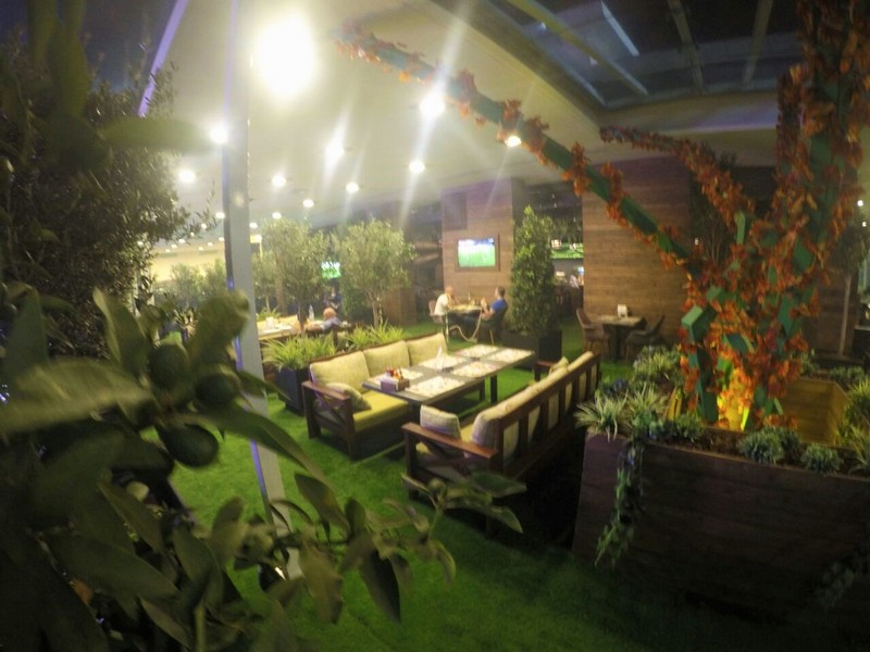 Lime Tree On Friday Night