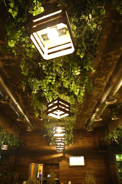 Lime Tree On Friday Night