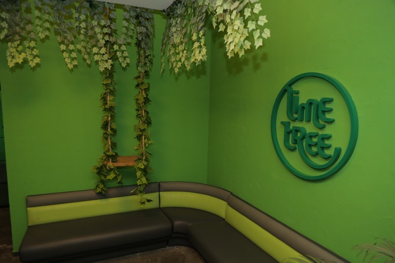 Lime Tree on Friday Night