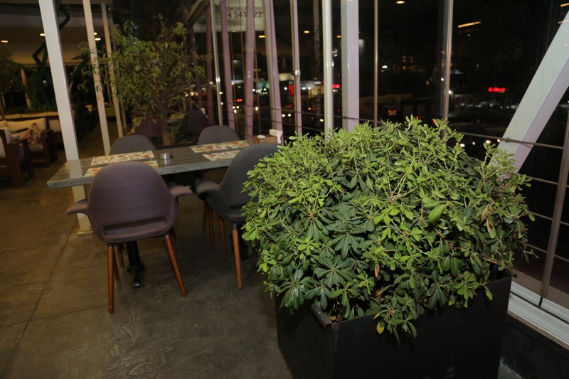 Lime Tree on Friday Night