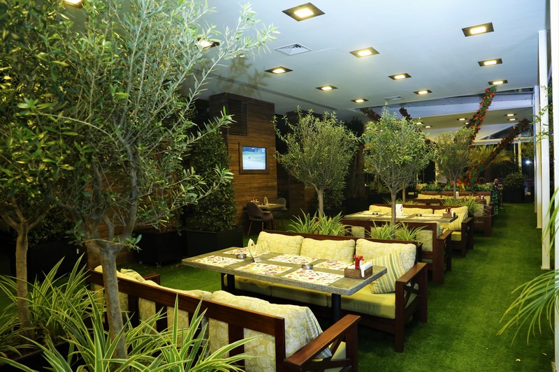 Lime Tree On Friday Night