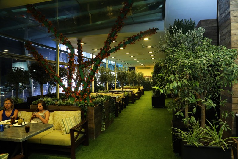 Lime Tree On Friday Night
