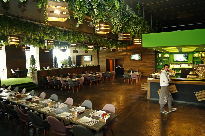 Lime Tree on Thursday 