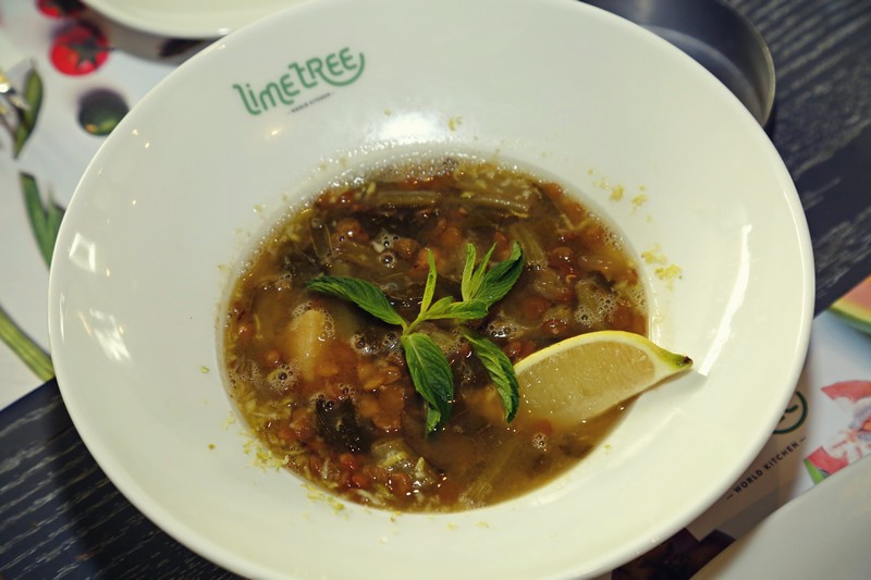 Lime Tree on Thursday 