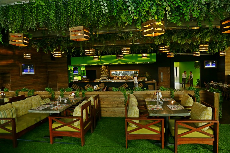 Lime Tree on Thursday 